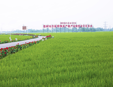 ����10��Ķ�����ۺ�ˢ�¹�����Ŀ