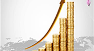 2020�������Ͷ����ܽ�