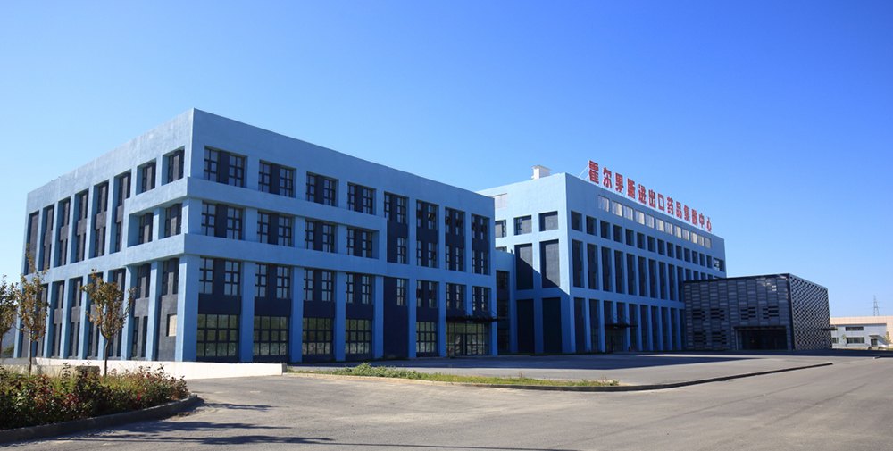 ������˹2